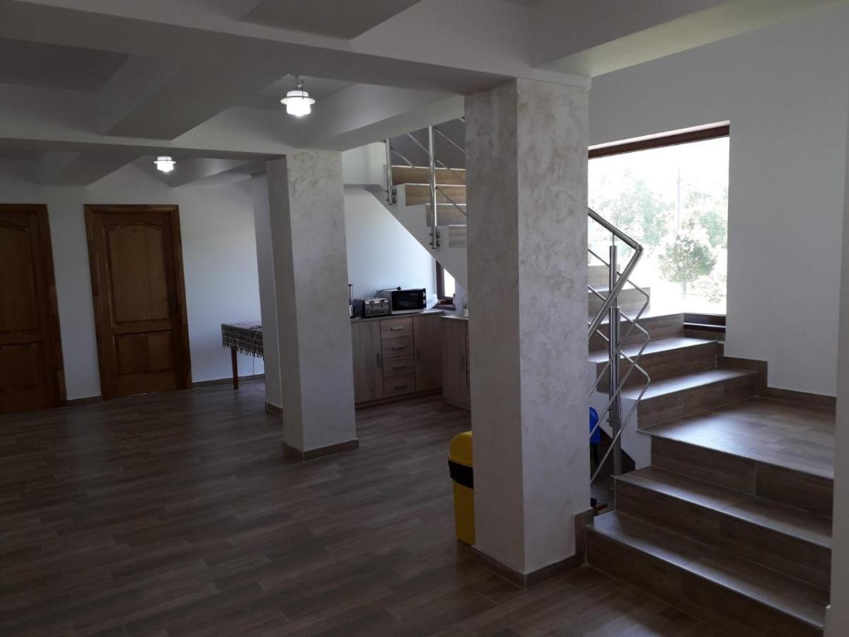 Vila Ovidiu Băile Herculane Buitenkant foto